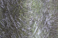 Michaelstow fibreglass roof work